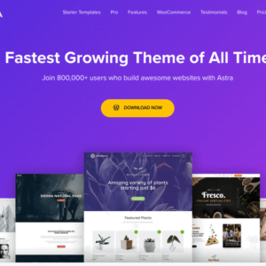 Astra-WordPress-theme