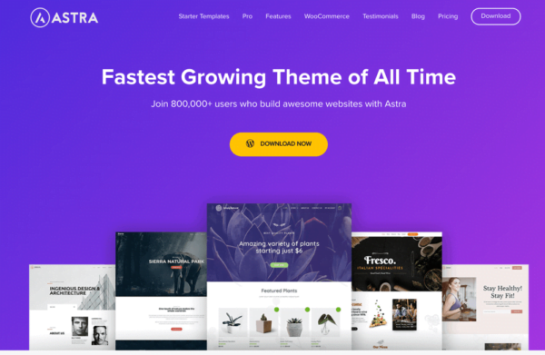 Astra-WordPress-theme